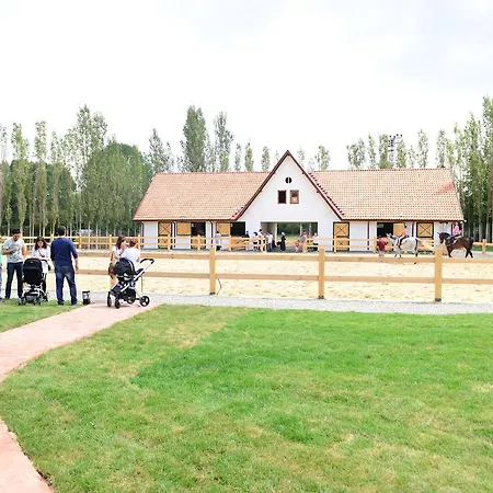Golkoy Yasam