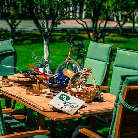 Otel Golkoy Yasam Kastamonu