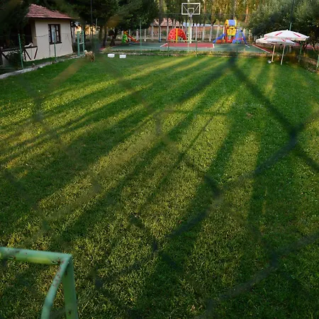 Golkoy Yasam
